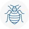Bed Bug Extermination In Leatherhead