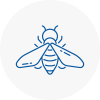 Bee Nest Removal Leatherhead