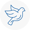 Bird Prevention Leatherhead