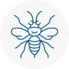 Leatherhead Hornet Nest Removals