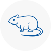 Rat Control Leatherhead