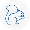 Leatherhead Rodent Removals