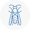 Leatherhead Wasp Nest Removal